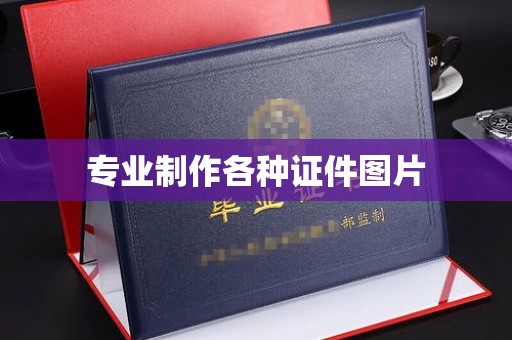 莱州专业制作各种证件图片