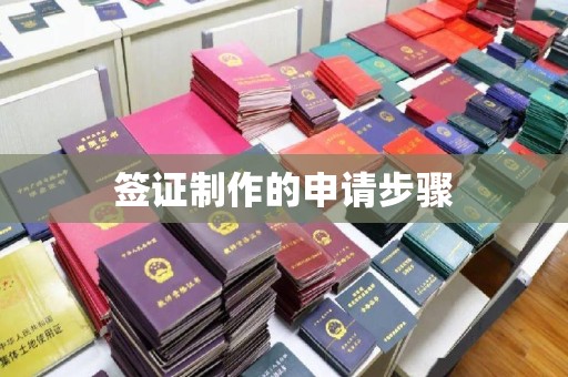 莱州签证制作的申请步骤