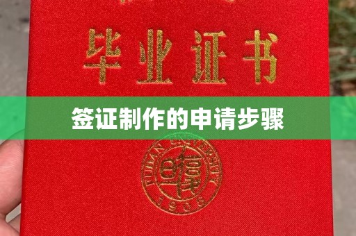 莱州签证制作的申请步骤